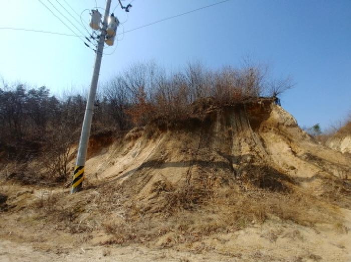 사진 114