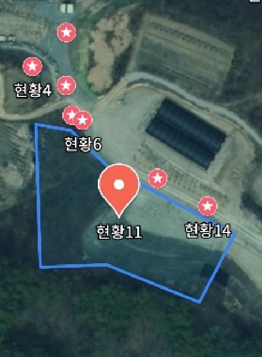 사진 119