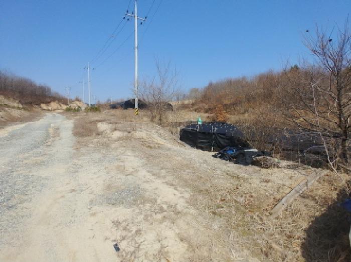 사진 131