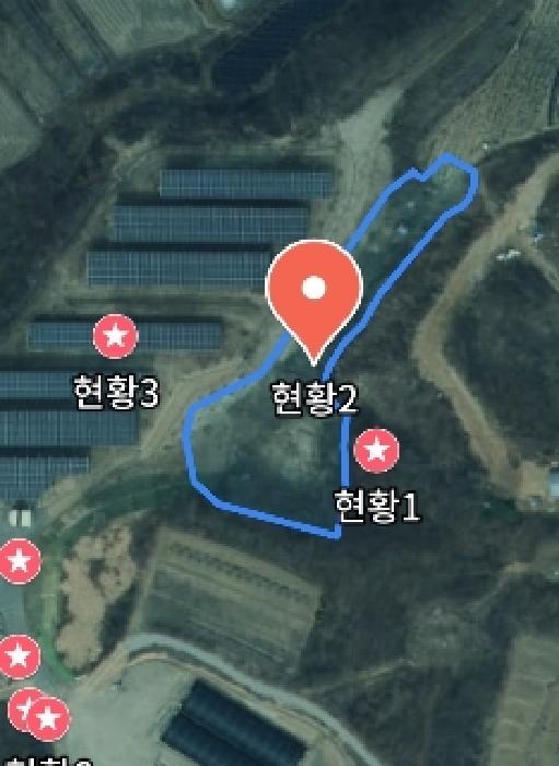 사진 137