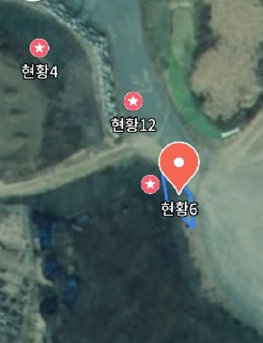 사진 141