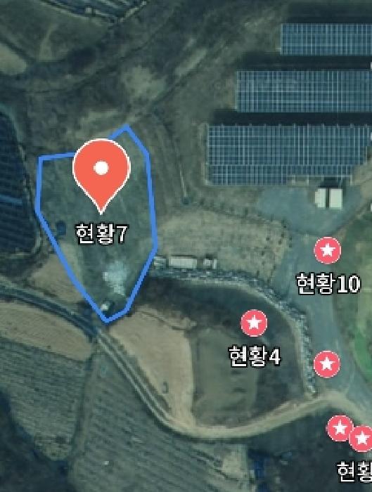 사진 142
