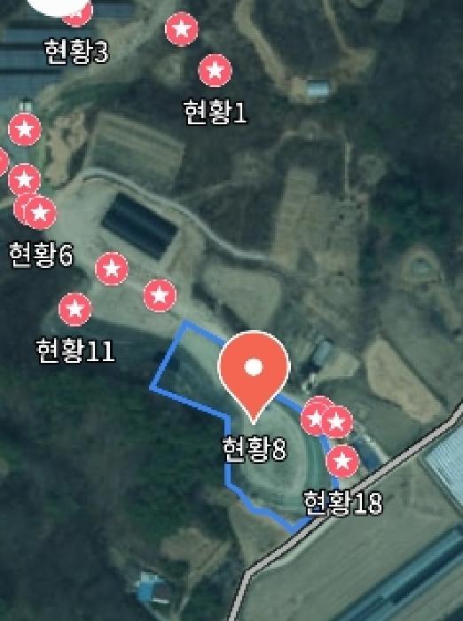 사진 143