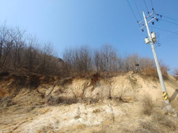 사진 171