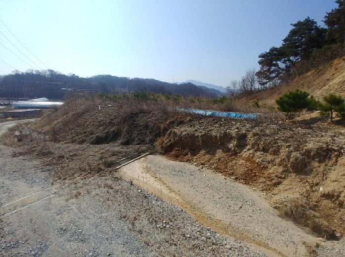사진 172