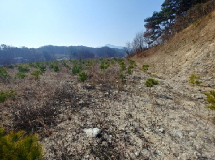 사진 176