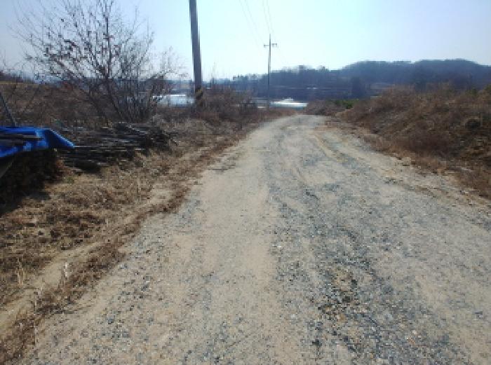 사진 8
