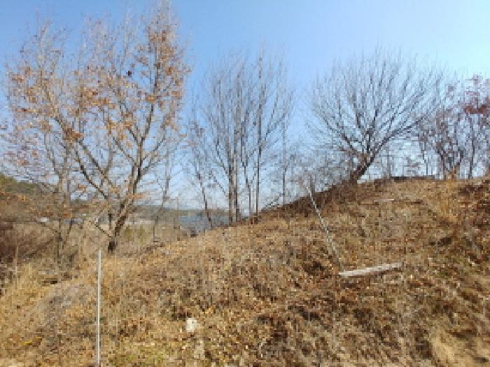 사진 14