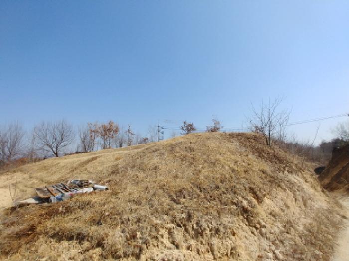 사진 23