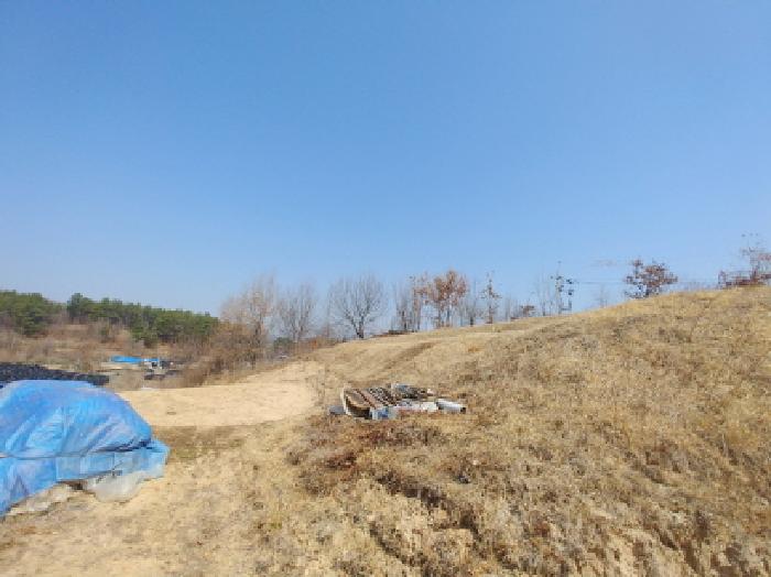 사진 24