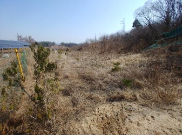 사진 27