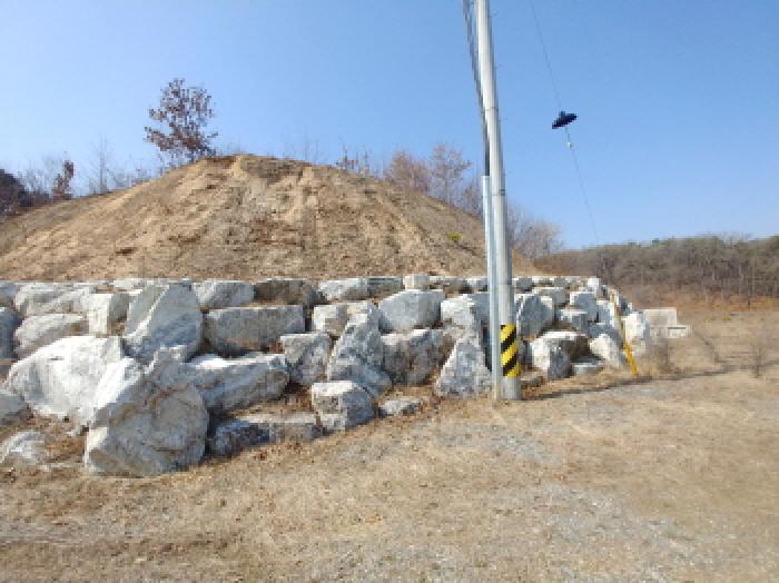 사진 46