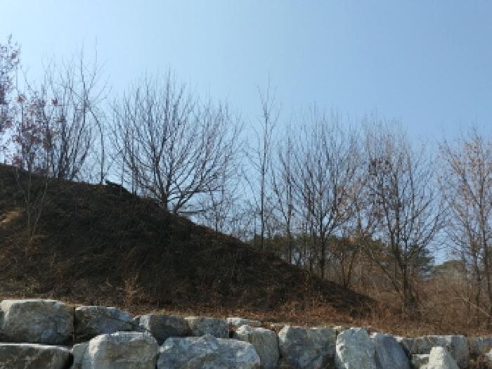 사진 49