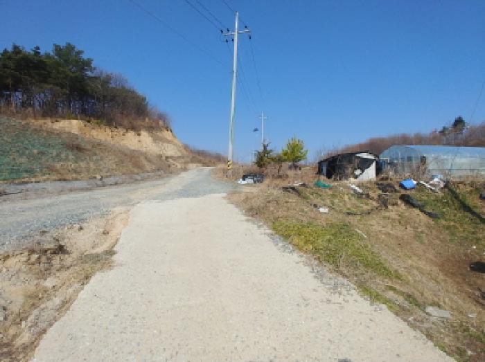 사진 65