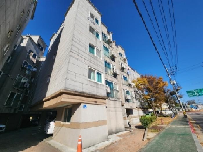사진 1