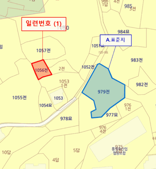 사진 3