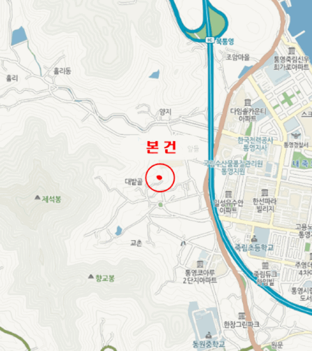 사진 4
