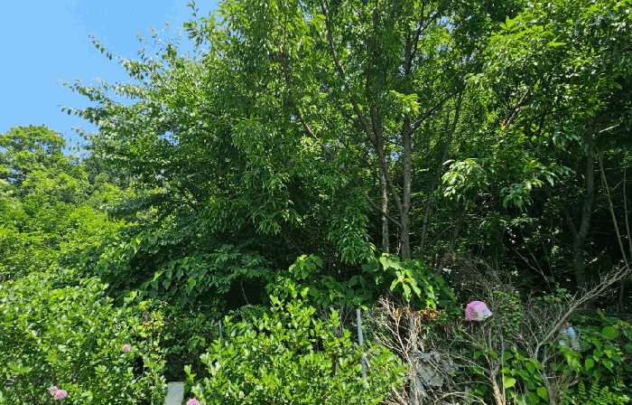 사진 5