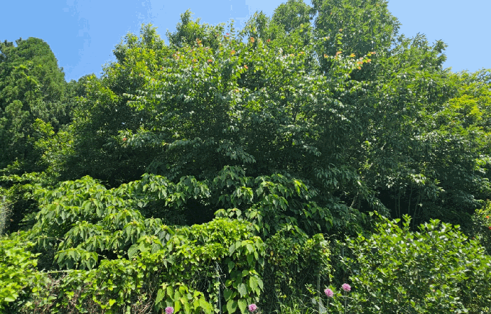 사진 6