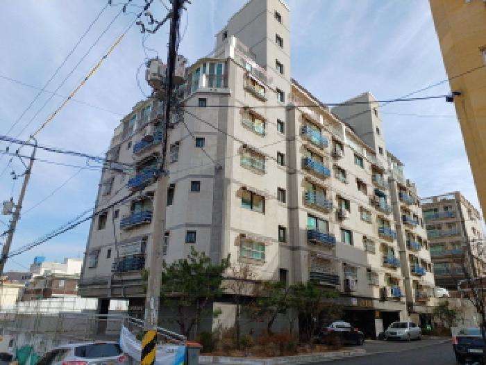 사진 1