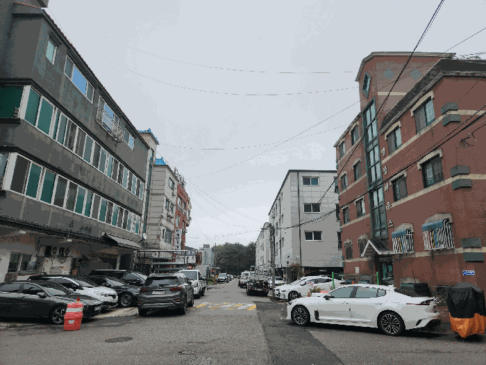 사진 9