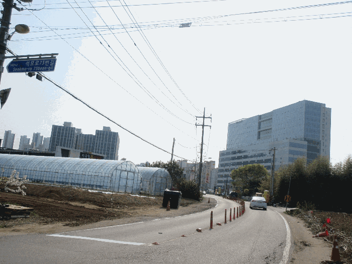 사진 7