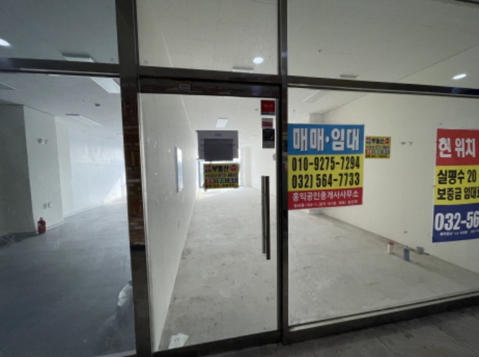 사진 4