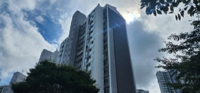 사진 10