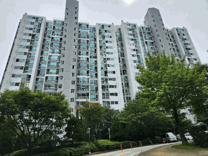 사진 5