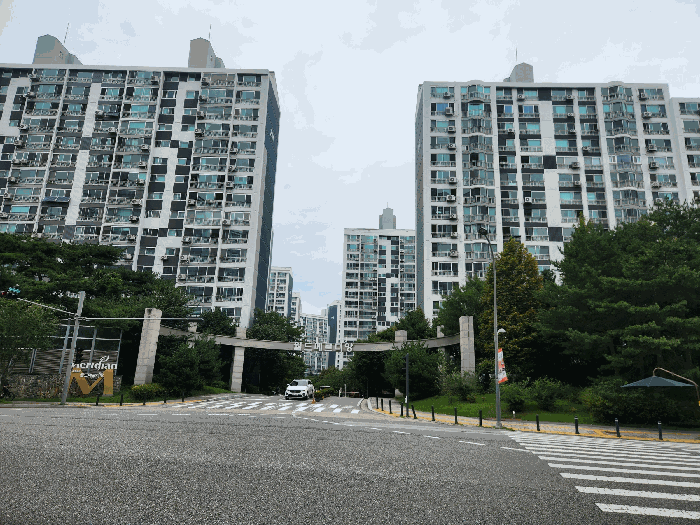 사진 1