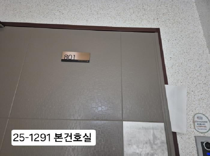 사진 10