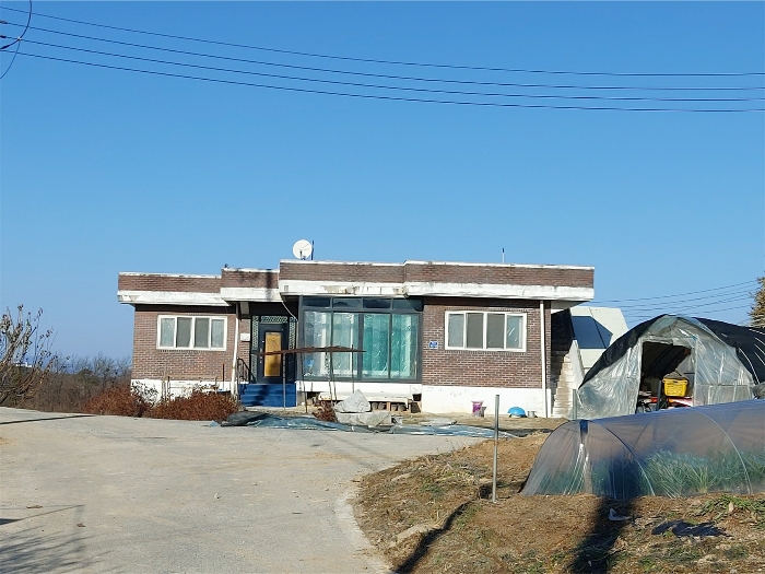 사진 5