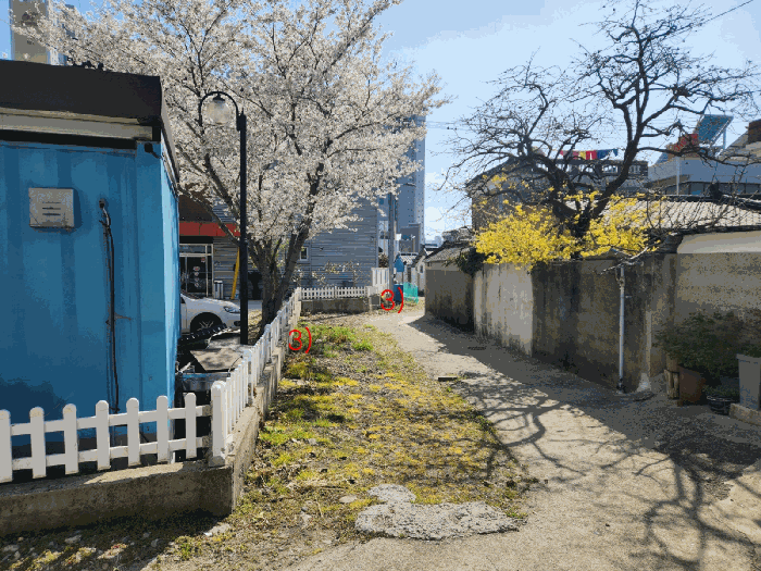 사진 2