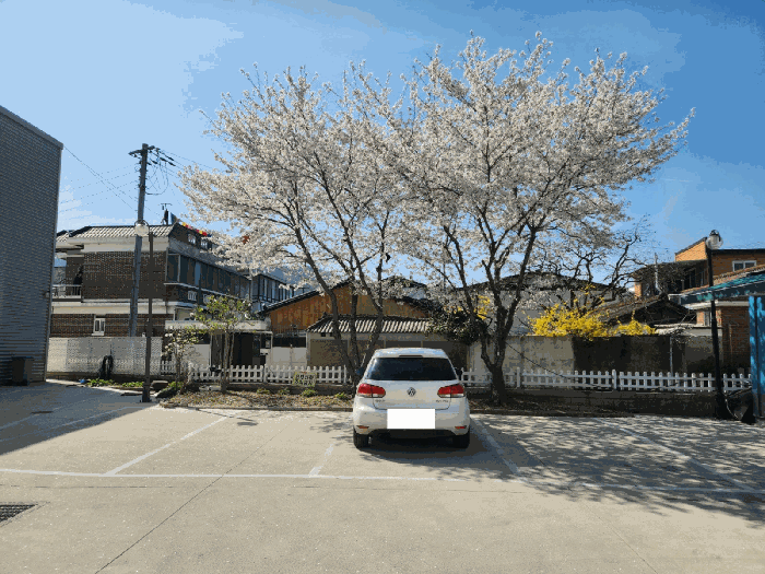 사진 8
