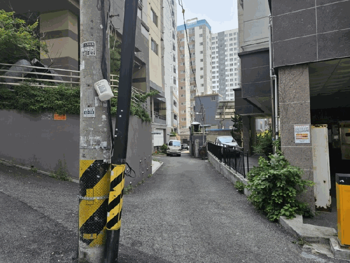 사진 10