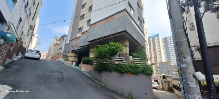 사진 2