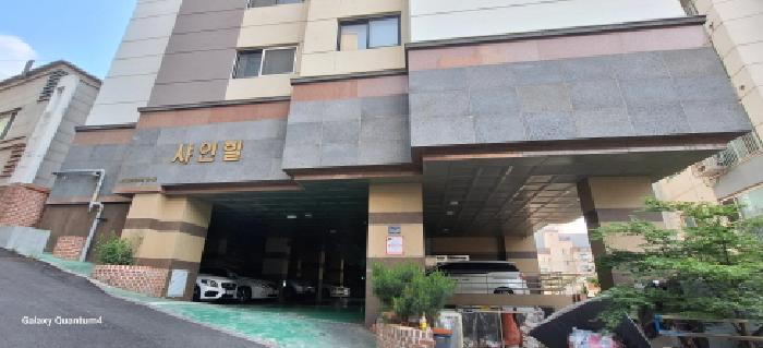 사진 3