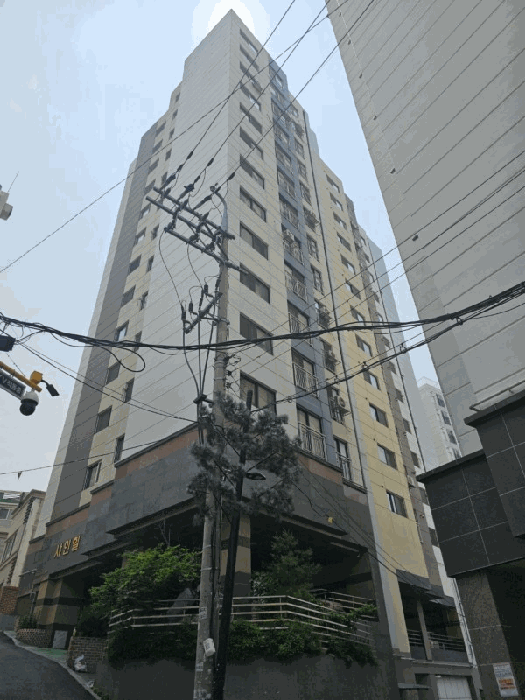 사진 8