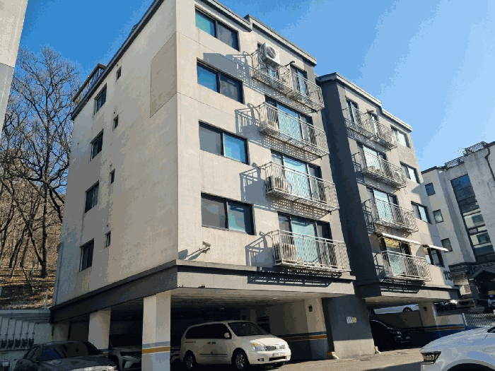 사진 11