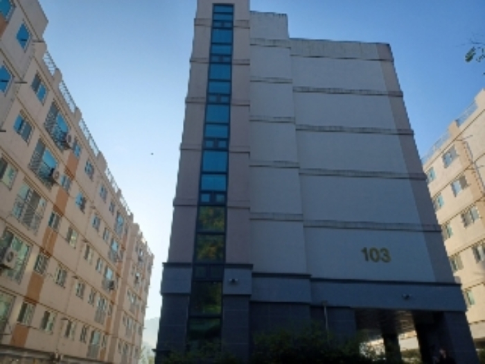 사진 10