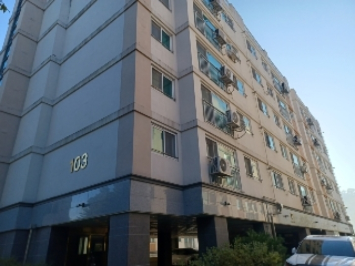 사진 11
