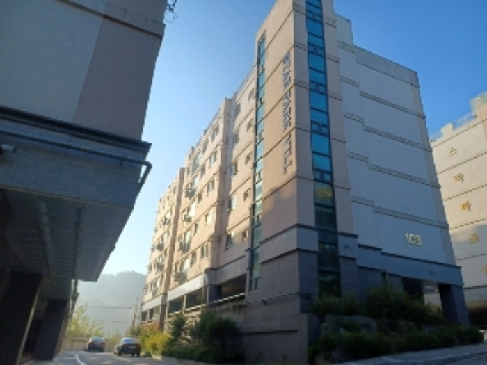 사진 9