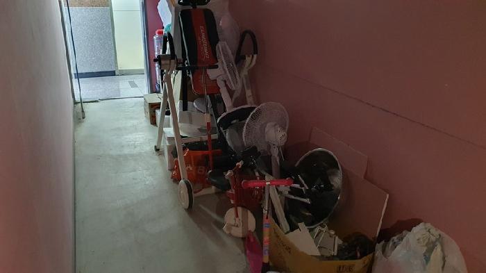 사진 15
