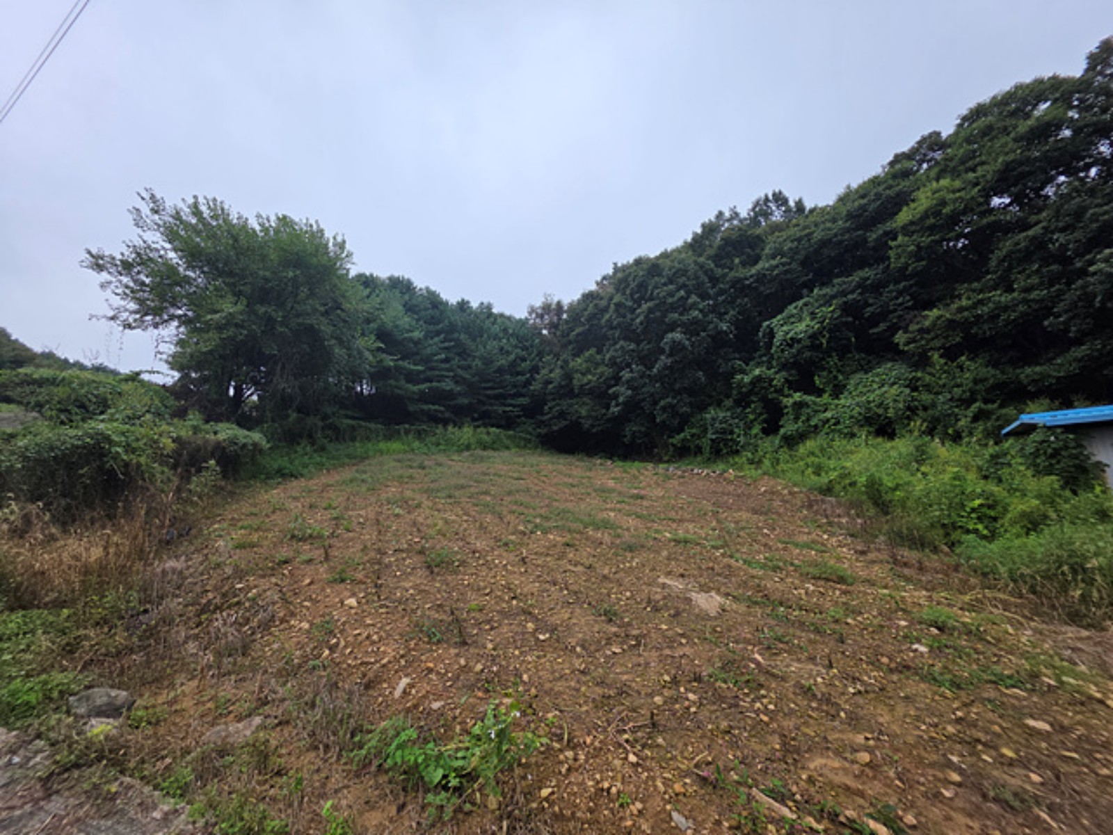 사진 1