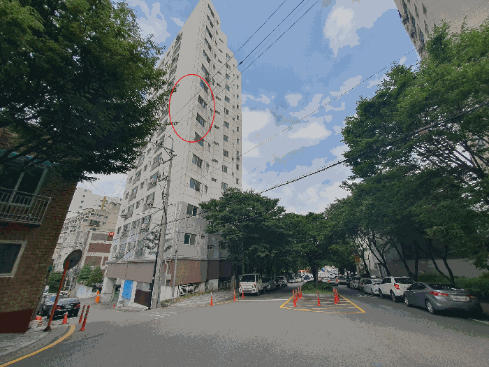사진 10