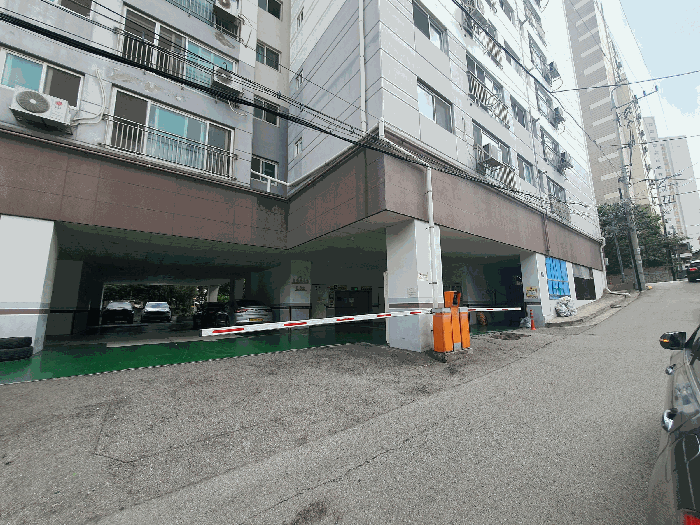 사진 11