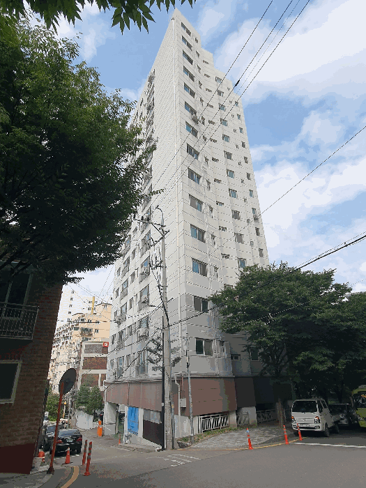 사진 5