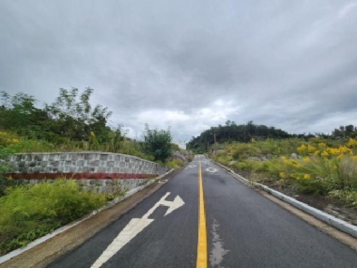 사진 29