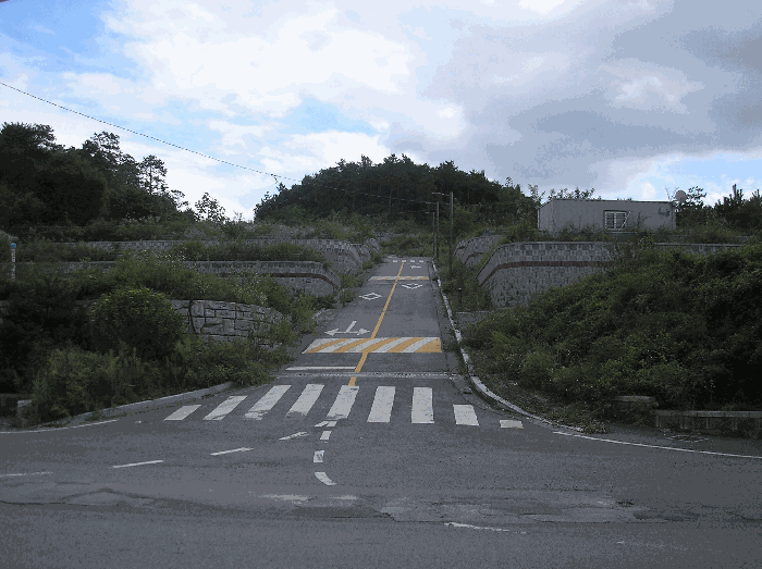 사진 1