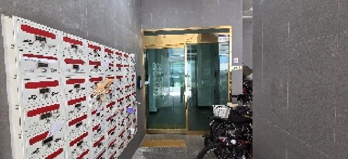 사진 12